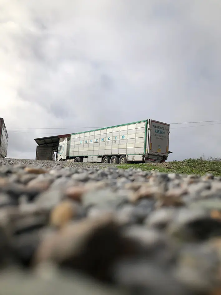 transportes_felix_asencio